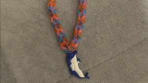 Как сплести красивый ошейник для домашнего питомца