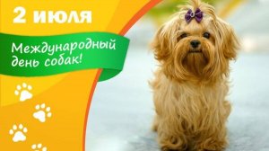 2 ИЮЛЯ – МЕЖДУНАРОДНЫЙ ДЕНЬ СОБАК.
СОБАКИ–САМЫЕ ВЕРНЫЕ И ПРЕДАННЫЕ ДРУЗЬЯ!