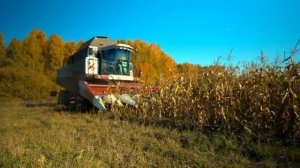 Бережная уборка кукурузы Argus 870