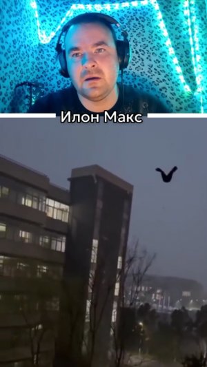 Что это за птица такая?😅