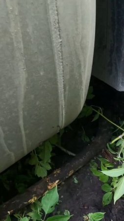 Полное видео уже на канале! #ВладЗенин #Дальнобой