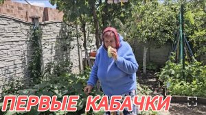 САМВЕЛ АДАМЯН, СЫТНИКИ, СОБИРАЕМ КАБАЧКИ, ДОСТАВКА ВОДЫ..
