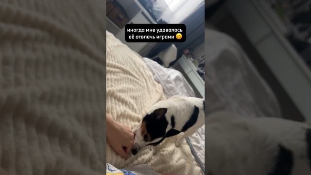Пока я отдыхала в Сочи, моя доченька ухаживала за Бенечкой и создала для меня вот этот клип😭 🥰
