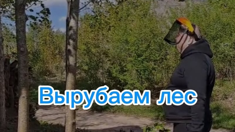 Вырубаем лес на участке за базовую