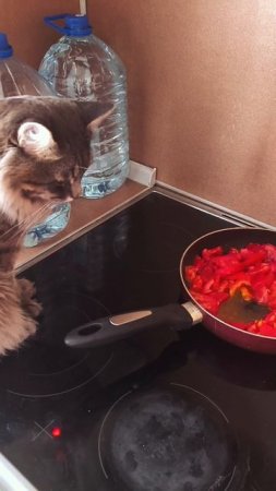Ждёт ужин