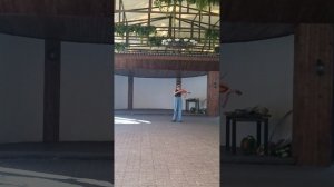 Алегрето от Алины (отдых с Дариной 29.06.25)