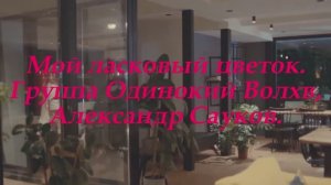 Мой ласковый цветок (Премьера клипа 2025 г.)