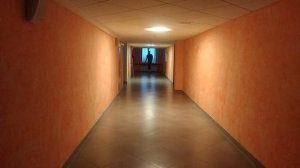 Комплекс прыжки в длинну 10 серий по три прыжка TrainingFactory00