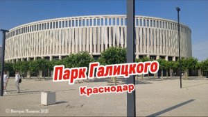 Парк Галицкого Краснодар. Красивые экзотические растения в парке