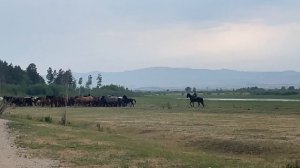 Красота