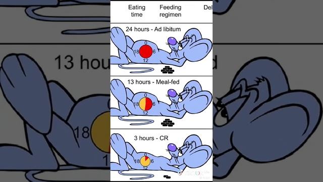 1000018758.mp4