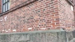 Город Ангелов в Лахденпохья