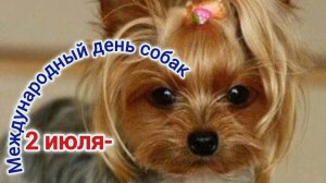 2 ИЮЛЯ- МЕЖДУНАРОДНЫЙ ДЕНЬ СОБАК.