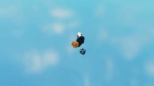 Roblox car rides funny moments