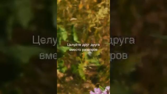 Любите друг друга