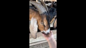 Отдых на природе