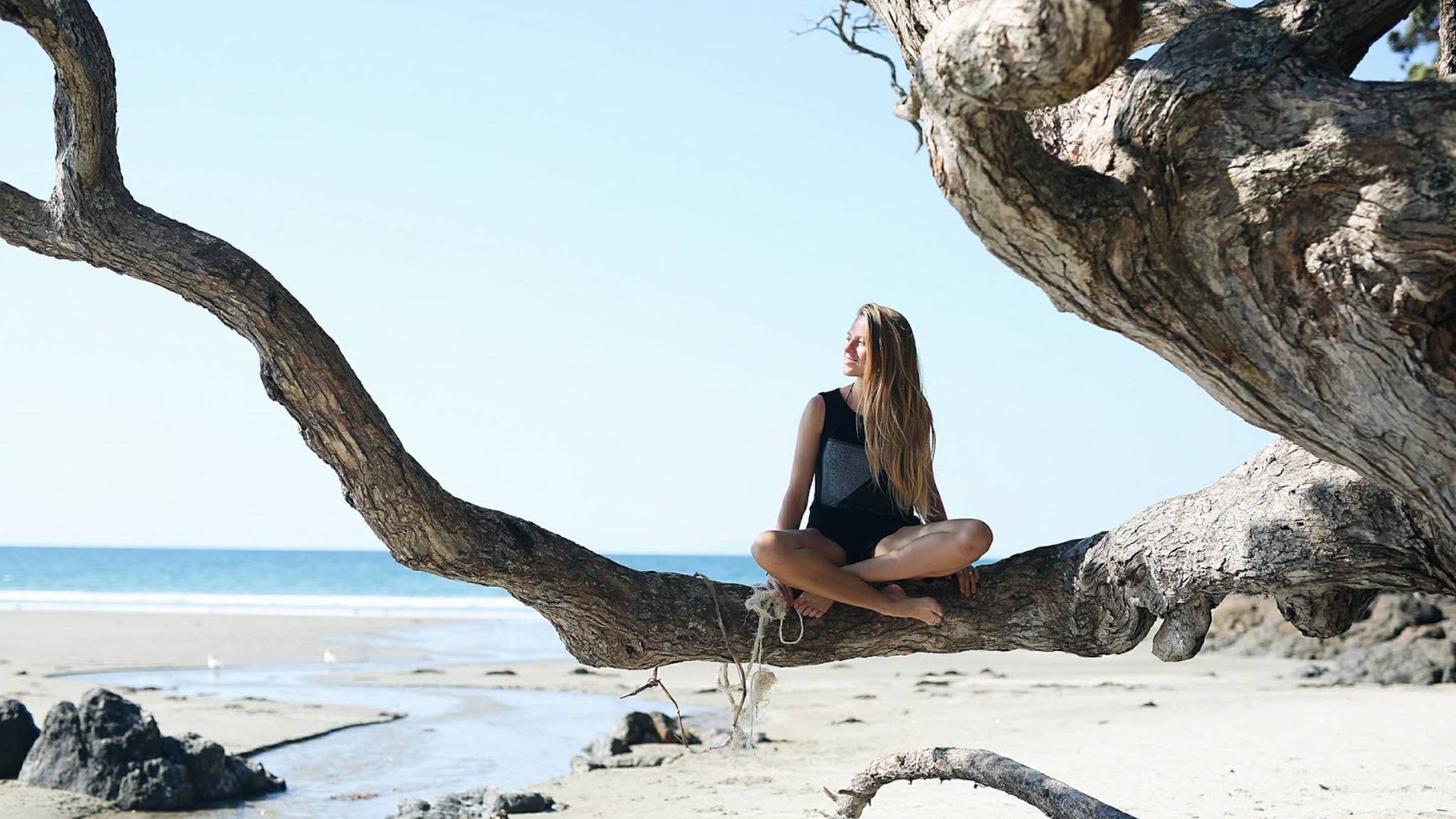 Nora En Pure - Purified Radio 462