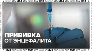 Около 3,5 миллиона россиян привились от клещевого энцефалита - Москва 24