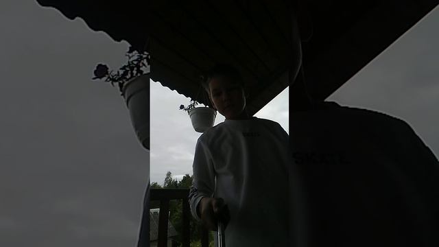 Петуния на балконе /Storts