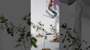 Все начнется, когда ты перестанешь ждать разрешения