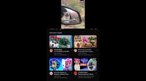 смешные коты😹