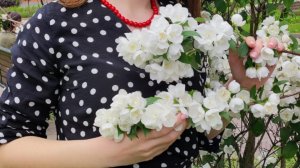 Штраус, Чардаш Розалинды из оперетты «Летучая мышь»