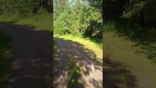в заброшках