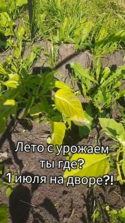 Когда же будет тёплое лето🤔. #сельскаяжизнь #лето