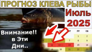 Прогноз клева рыбы на ИЮЛЬ 2025 года. Лунный календарь рыбака. Календарь рыбака на ИЮЛЬ
