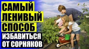 🤘 БОРЬБА С СОРНЯКАМИ НАРОДНЫМИ СРЕДСТВАМИ 💯
