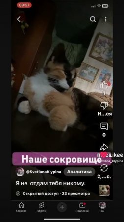 Iпришлось с тобой расстаться любимка моя