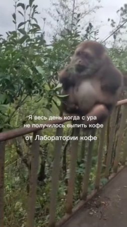 Не грусти 😢