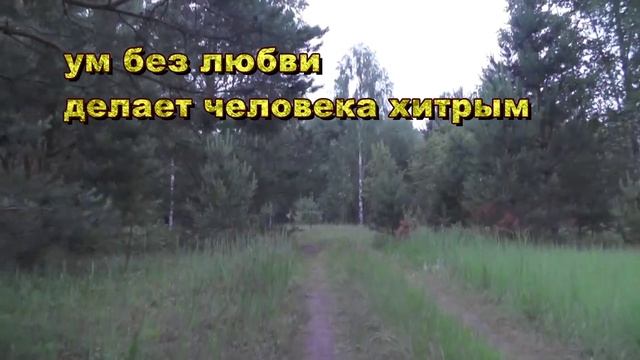 Любовь