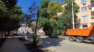 Обзорное
