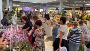 Глаза разбежались , хочу всё купить | Выставка цветов в Краснодаре | Любовь Еременко
