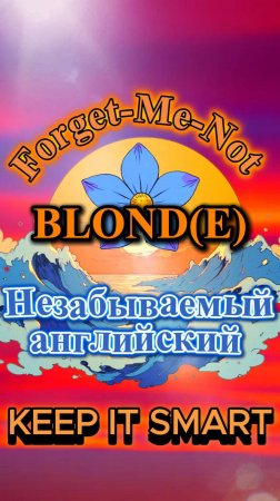 Forget-Me-Not BLOND(E)