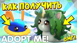 КАК ПОЛУЧИТЬ НОВЫХ ЛЕТНИХ ПИТОМЦЕВ!😱 ЛЕТНИЙ ФЕСТИВАЛЬ В АДОПТ МИ!👀 НОВОЕ ОБНОВЛЕНИЕ!🤯 ADOPT ME