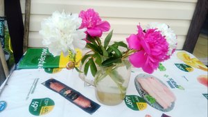 У природы нет плохой погоды июль 2025  года.