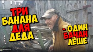 ДЕД ДВА ДНЯ НЕ ЕЛ . ПОШЛИ ОГОРОД ПОКАЖЕШЬ  , МОЛВИЛА БЛОГЕР .