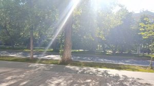 01-07-2025 Дарите  женщинам цветы
