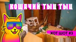 ХОТШОТ#3#FUNDOZA#КОШАЧИЙ ТЫЦ ТЫЦ