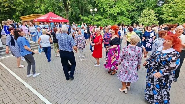 29.06.25г... "Зелёный Чай"...