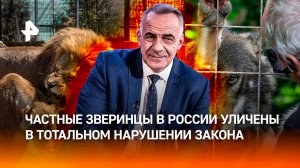 Без документов: частные зверинцы в России массово не соблюдают закон /Итоги недели с Петром Марченко