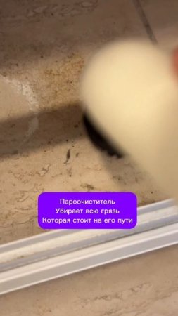 IMG_3352