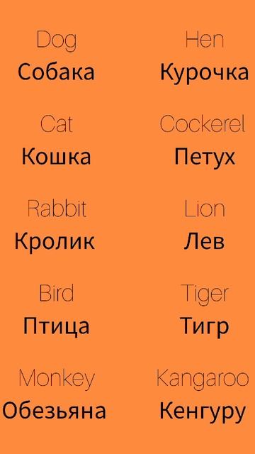 Животные 1 Animals 1