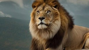 играем в Planet Zoo про животных