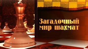 Шахматы # 8. Знаменитые шахматисты