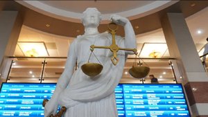 Завершено расследование по делу Логиновой о торговле детьми