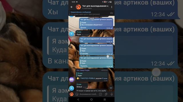 чё у нас в ТГ происходит... (ССЫЛКА НА ТГ В ОПИС)
