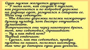 Анекдоты про котов